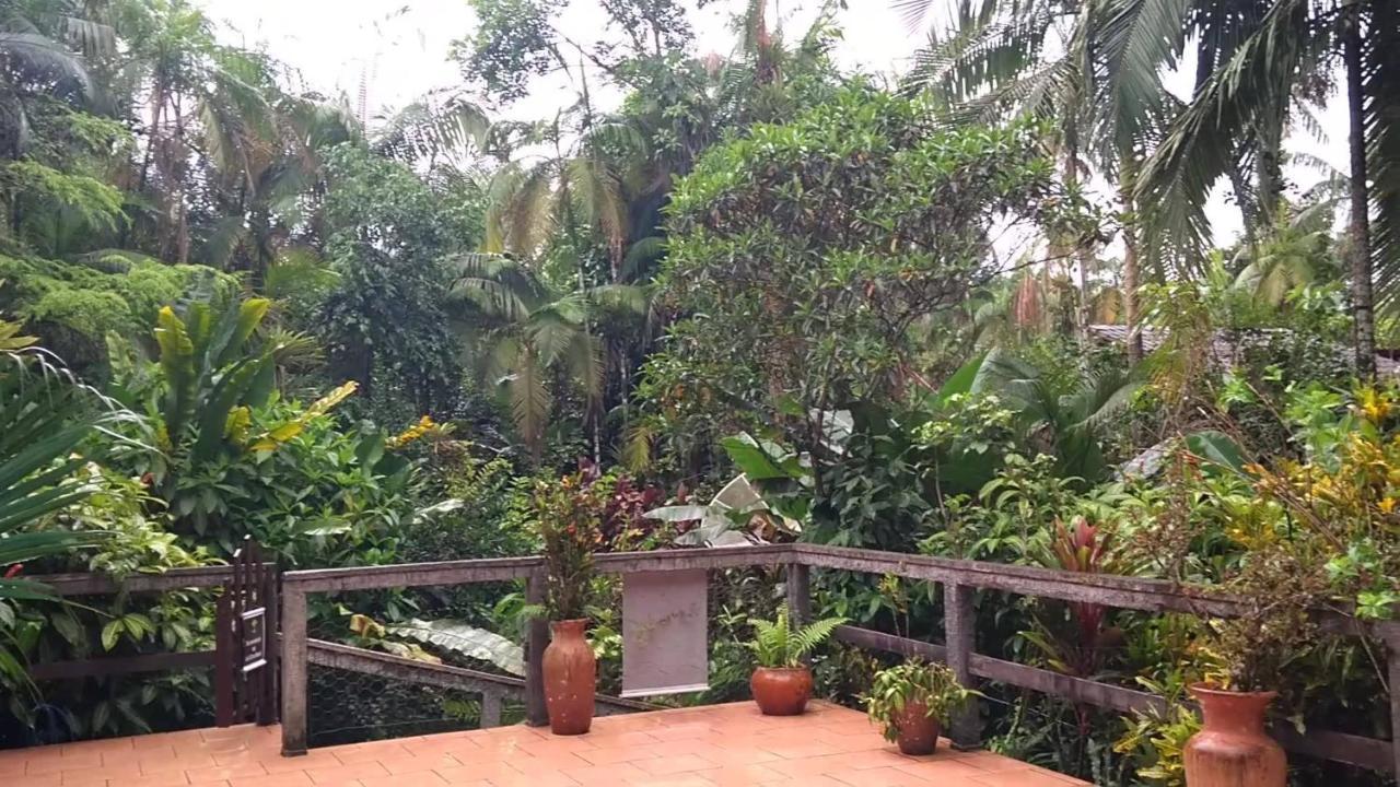 Pousada Do Oasis Моретис Екстериор снимка